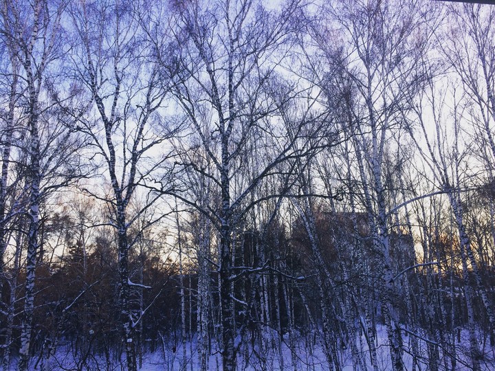 Russia, Tomsk