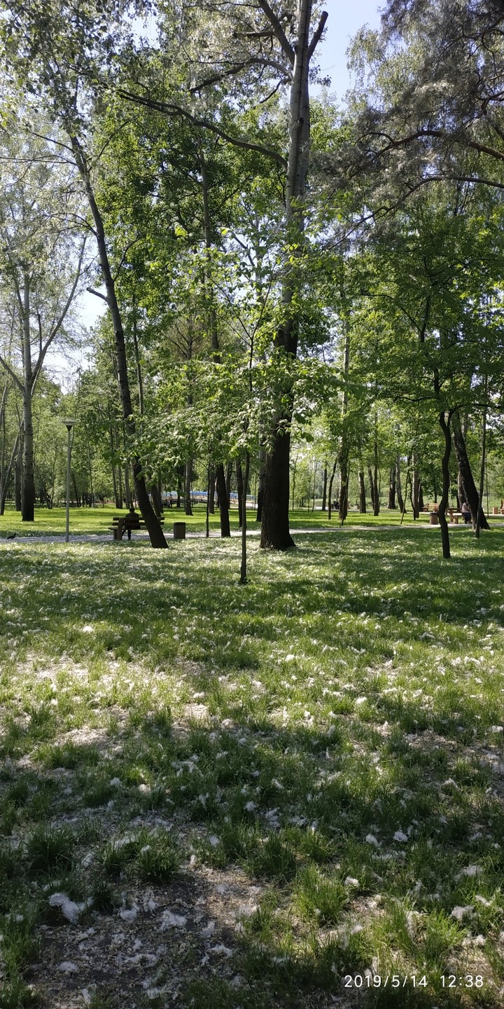 Парк