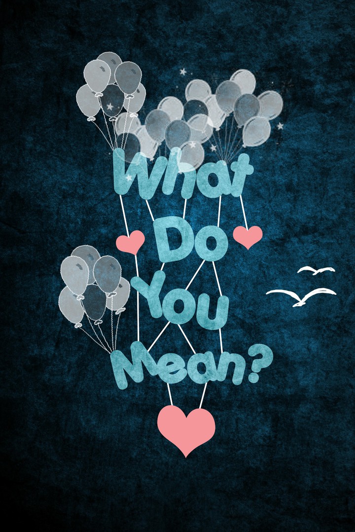 What Do You Mean?