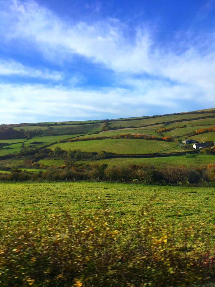 Countryside