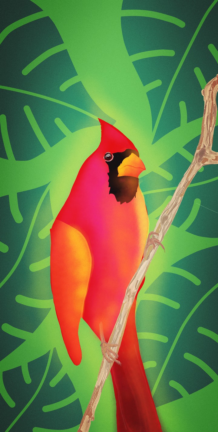 Illustration