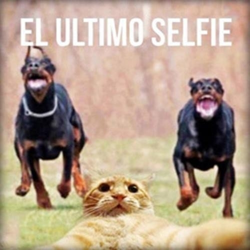 jjjjj