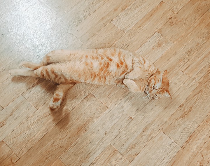 나옹