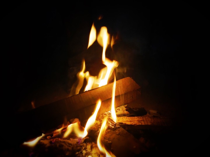 fire in wood