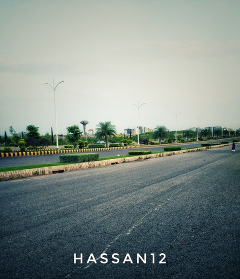 Road and nature
