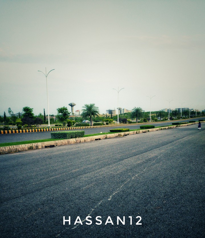 Road and nature