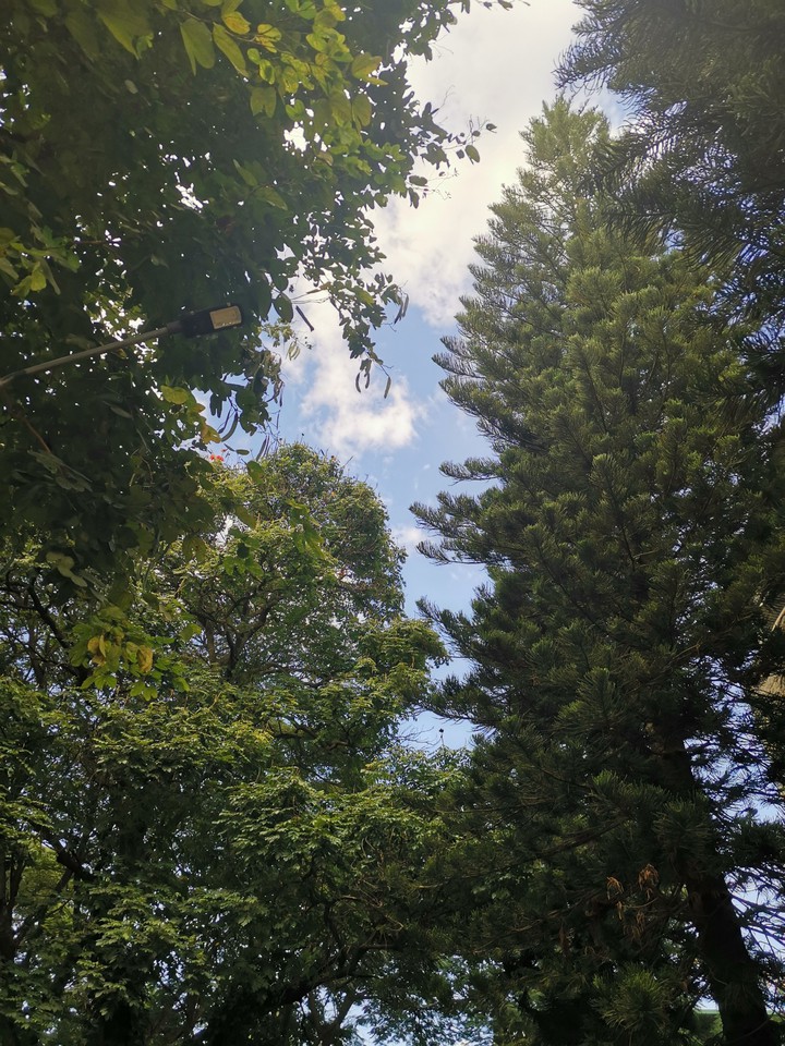 home