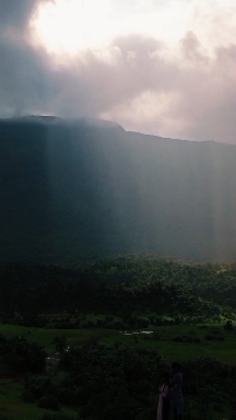 nature