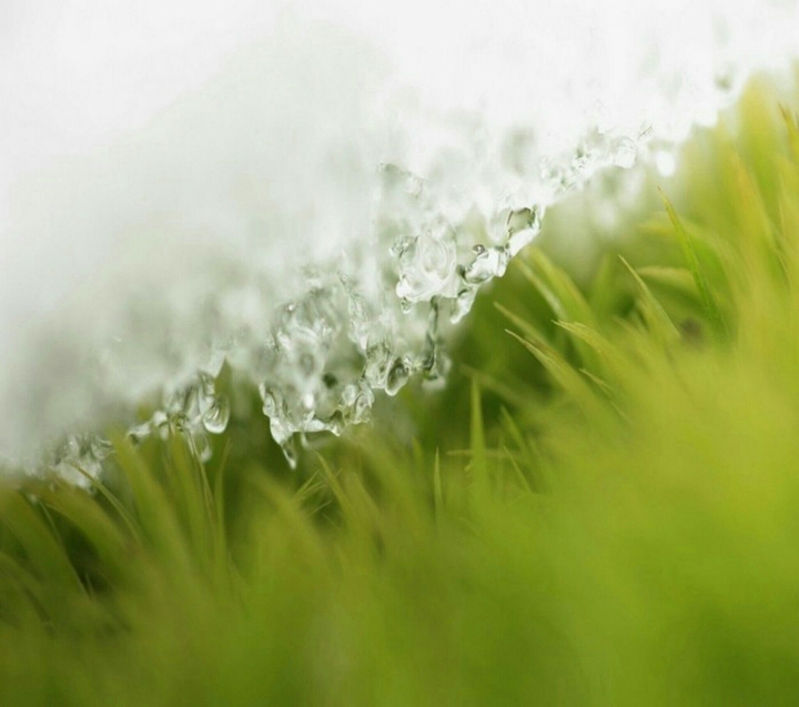 raindrops