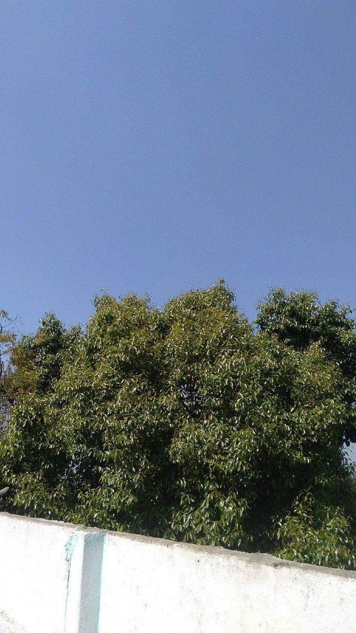 sky and freshness