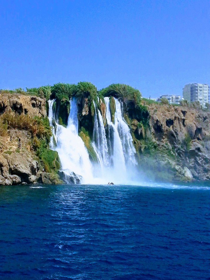 turkey