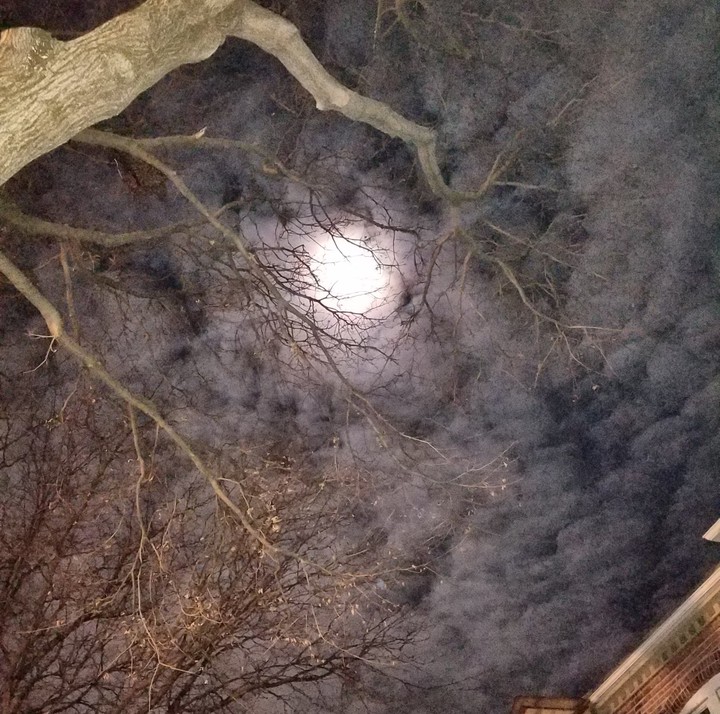 Full moon glory