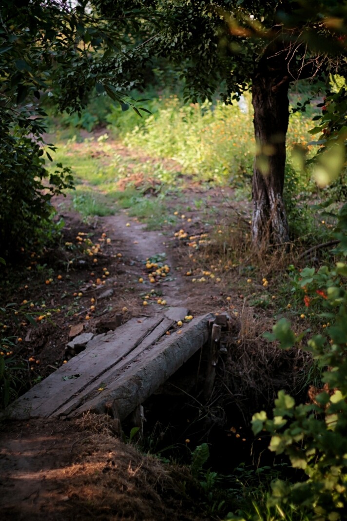 nature