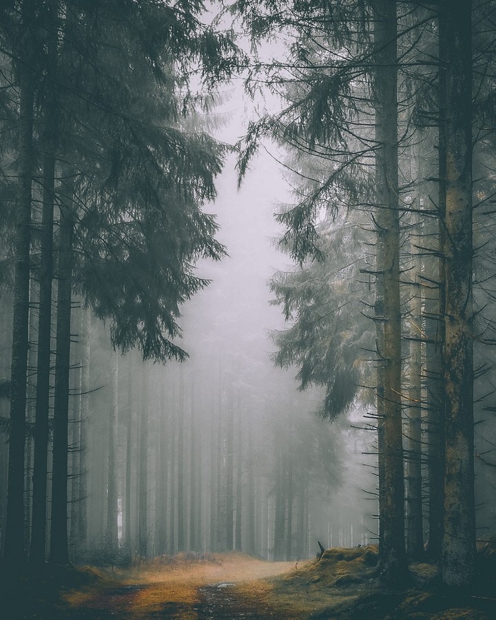 road to
