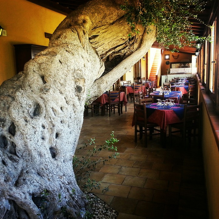 mine restaurant