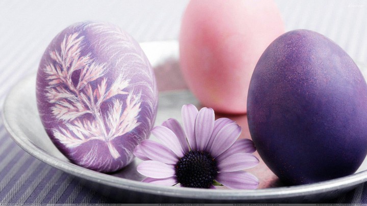 Beautiful Egg