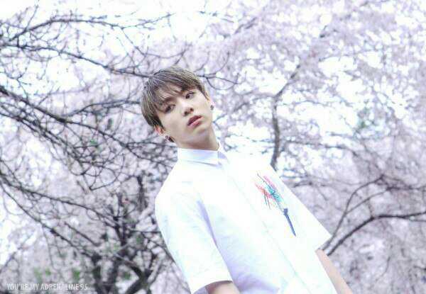 Jungkook