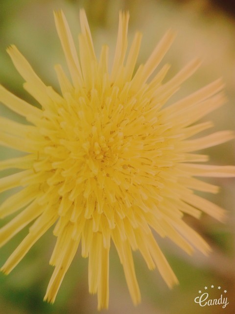 awesome nature