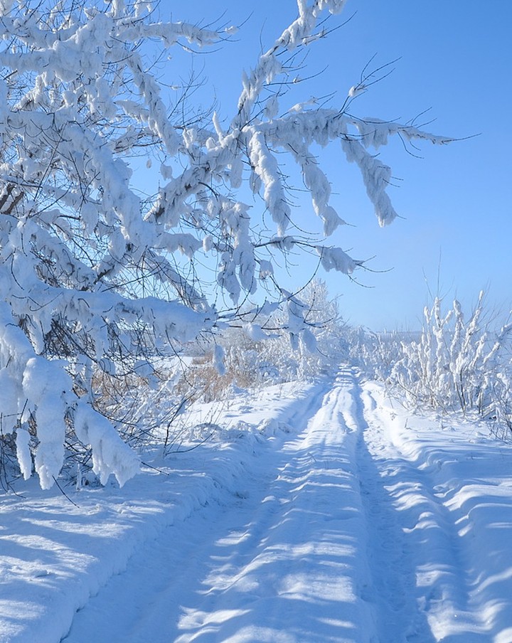 Winter day ❤️