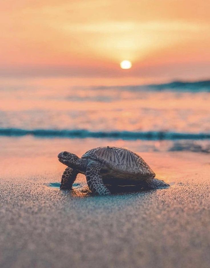 Beautiful wallpaper