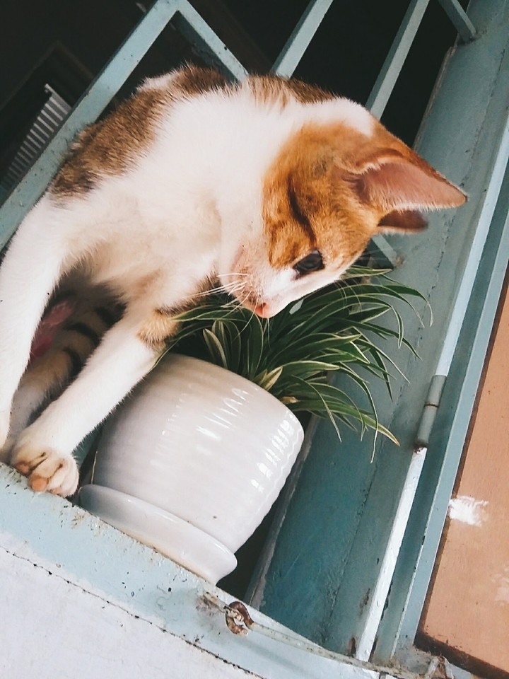 my little boy