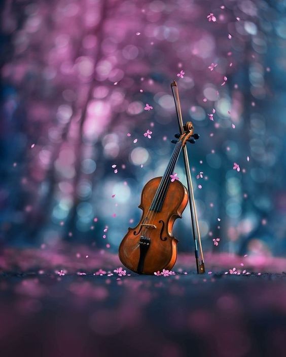 Violin