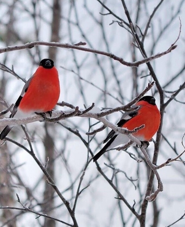 Y❤️    Waiting for spring