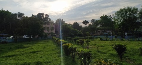 Nature Shines out
