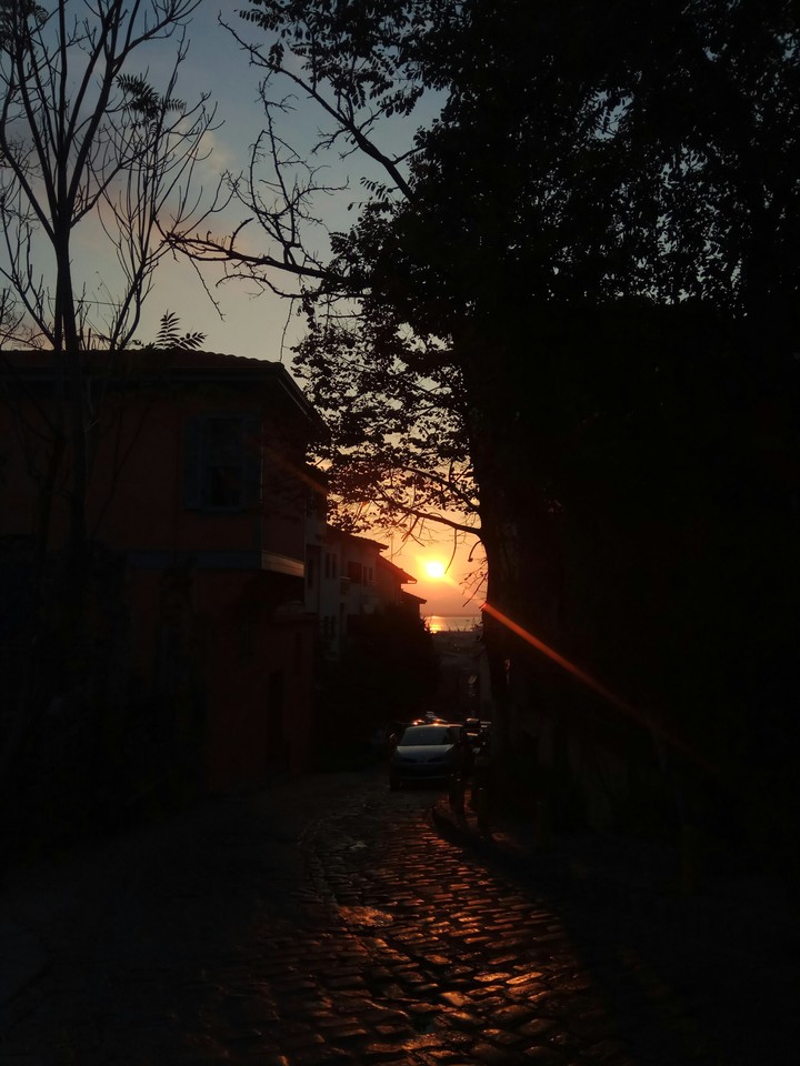 Ano poli