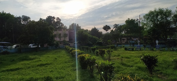 Nature Shines out