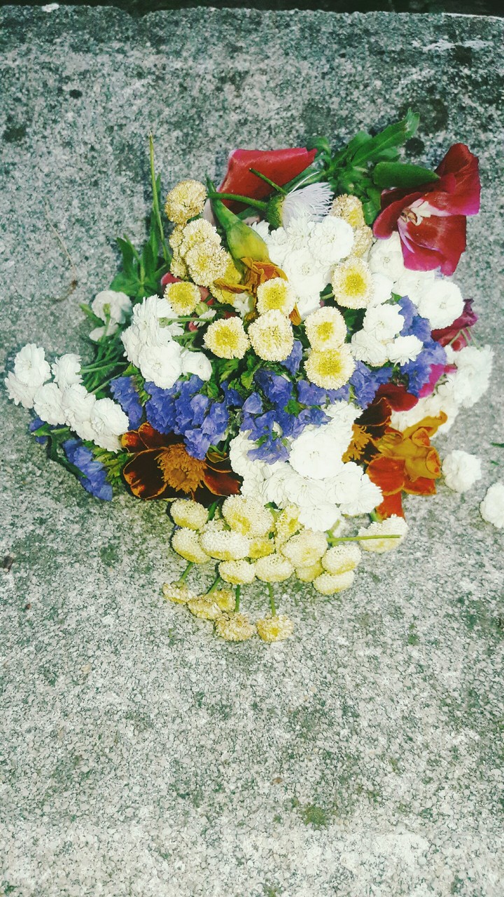 Flowers in the golden afternoon 