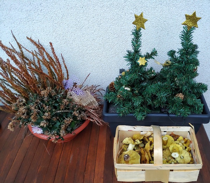 Grünlinge