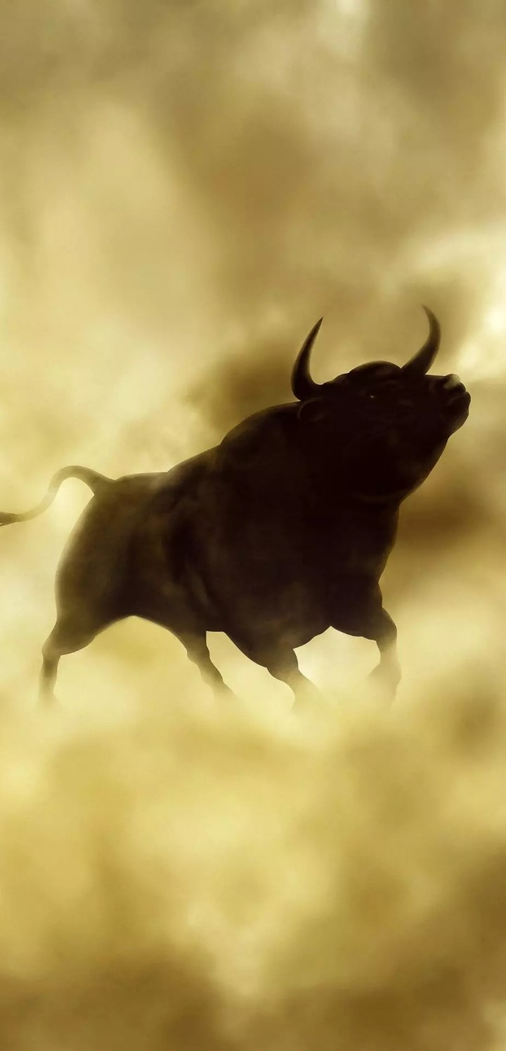 Black Bull