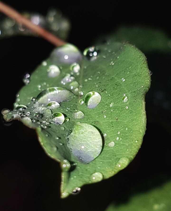 Rainy