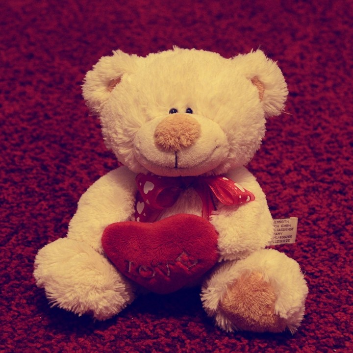 Teddy