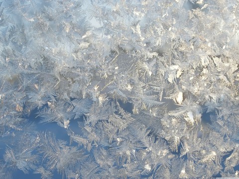 ice flowers