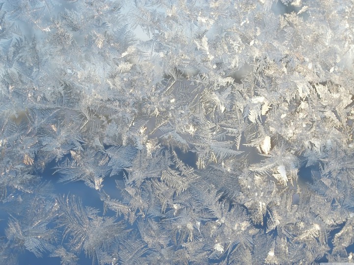 ice flowers