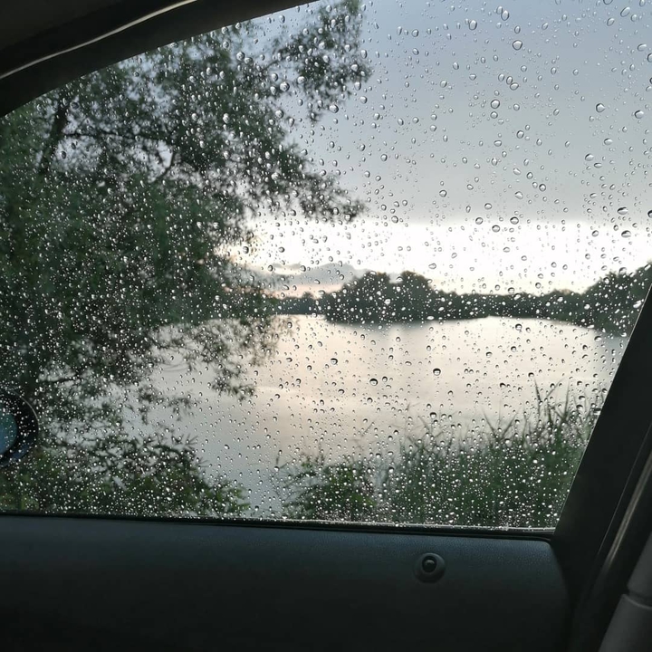 Summer rain