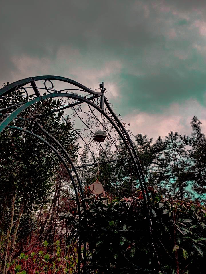 dark park