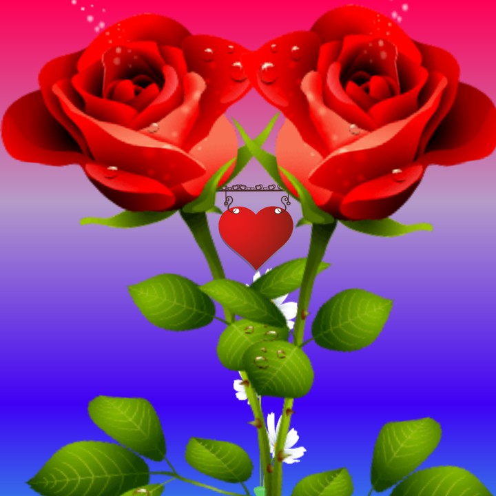 flower heart