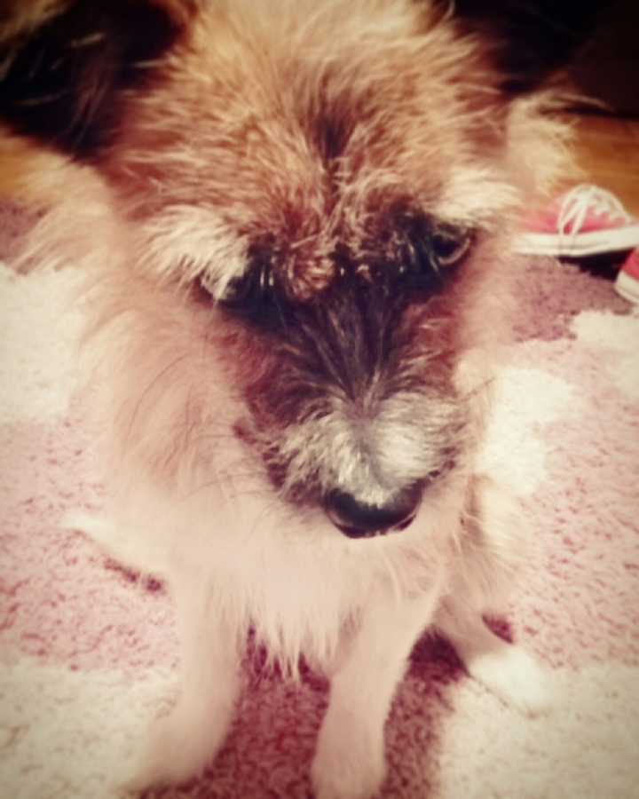 Daisy
