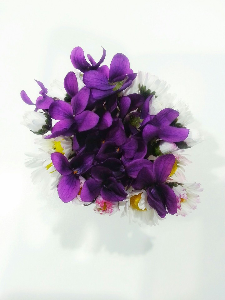 quel mazzolin di fiori