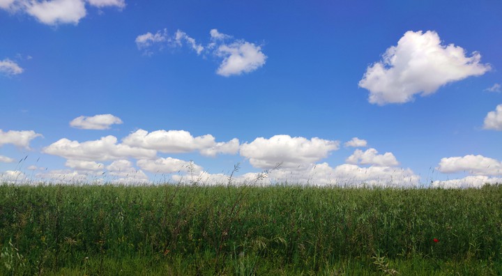 Primavera