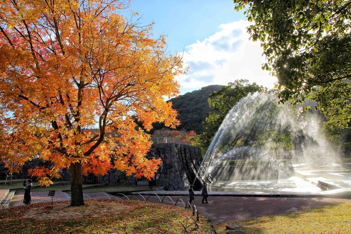 Autumn