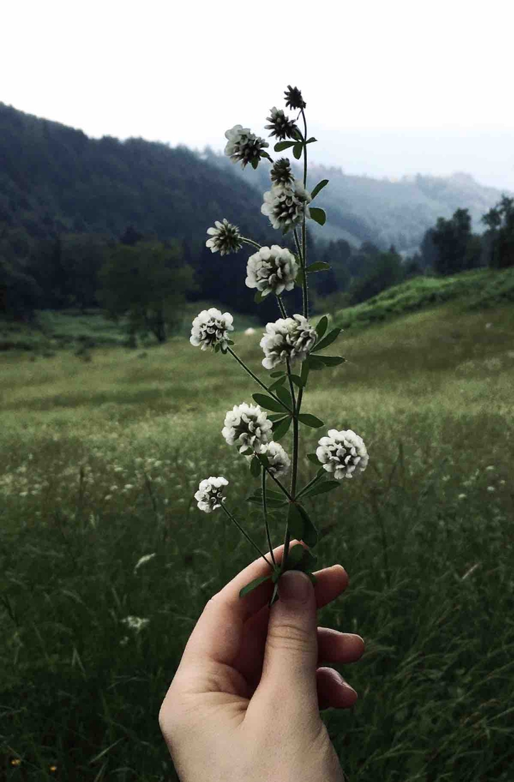 ?