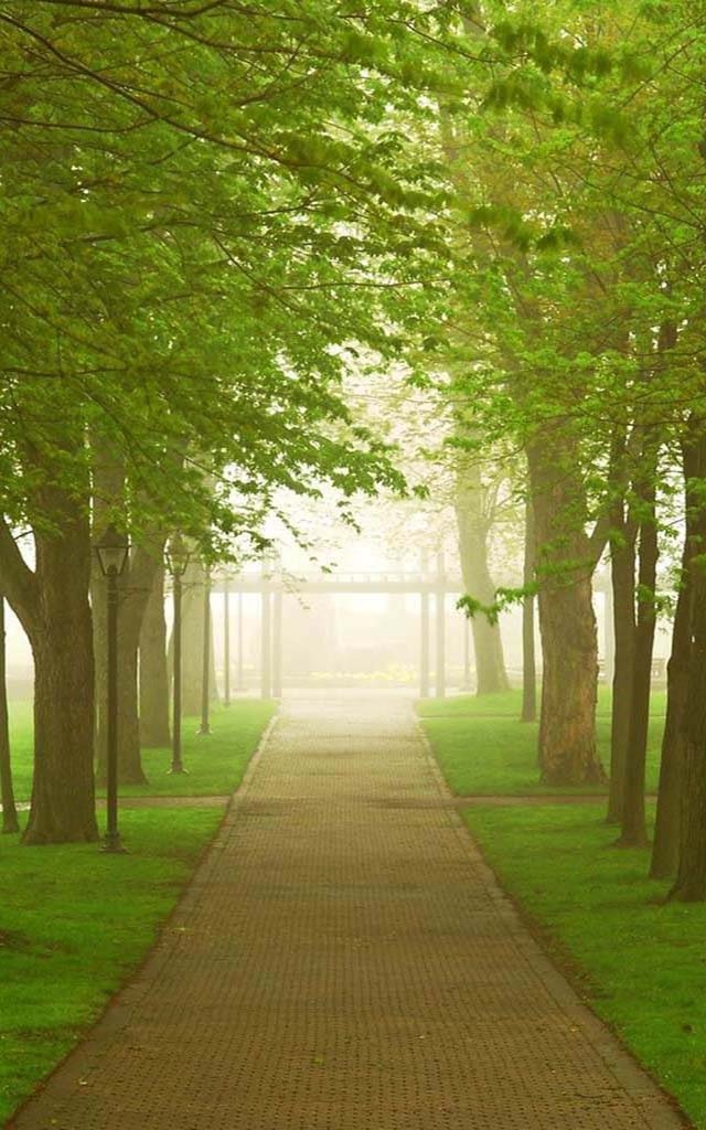 nature