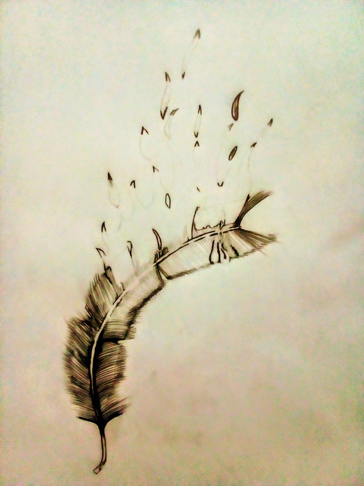 Burning feather