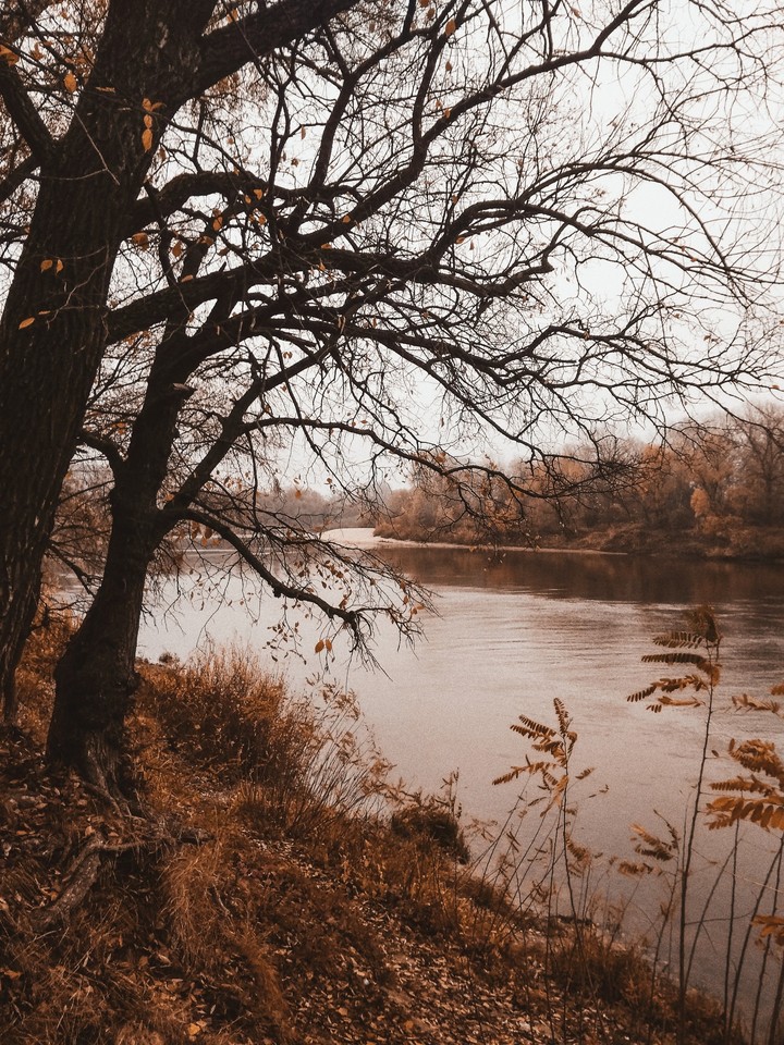 Autumn