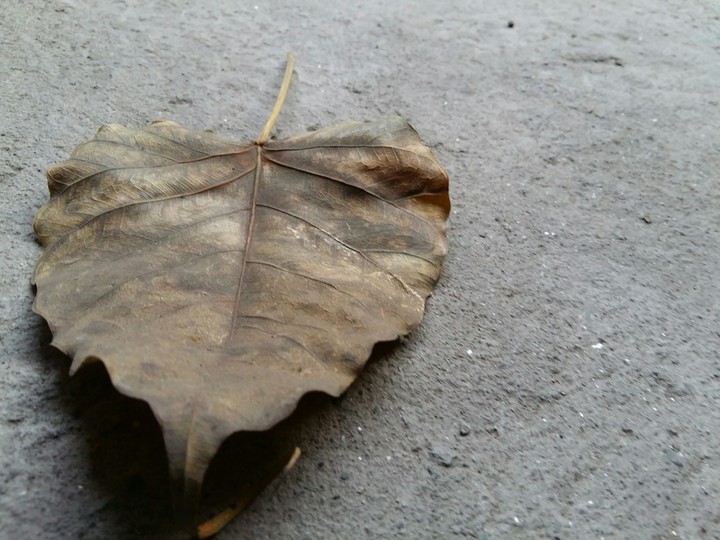 dry spell