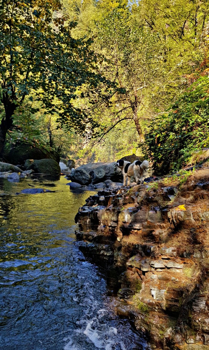 zomorod waterfall